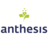 anthesis GmbH, profile picture