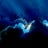 Apocalipse Facil, profile picture