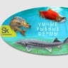 АКВАЛ: Умные Рыбные Фермы, profile picture