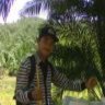 Ardi Wj Profile