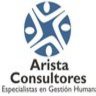 Arista Consultores Sac, profile picture