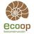 Ecoop Bioconstrucción, profile picture
