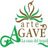 Arte Agave, profile picture