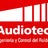 Audiotec, profile picture