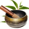 School of Ayurveda & Panchakarma, profile picture