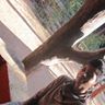 Ayushi Pagare Profile