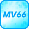 MV66 , profile picture