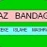 SlideShare profile picture for @bandage
