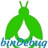 binDebug WorkSpace, profile picture