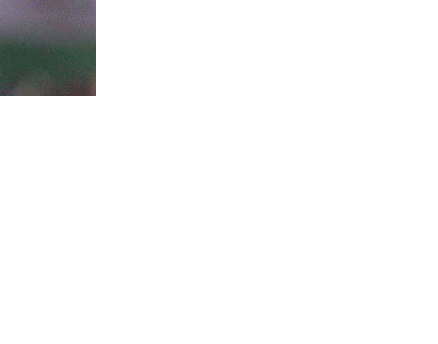 BIITM, profile picture