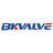 BKVALVE (Zhejiang Bkvalve Co., Ltd), profile picture