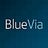 BlueVia, profile picture