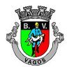 Bombeiros Vagos Associação Humanitária, profile picture