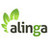 Alinga Web Media Design, profile picture