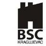 bsckragujevac, profile picture