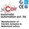 Cair Euromatic Automation Pvt. Ltd., profile picture