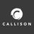 Callison, profile picture
