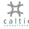 Caltic Consultores, profile picture