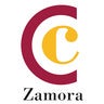 Perfil de Cámara Oficial de Comercio, Industria y Servicios de Zamora