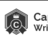 Capstone Writing Service, profile picture