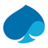Capgemini, profile picture