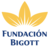 Fundación Bigott, profile picture