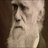 Carlos Darwin, profile picture