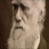 Carlos Darwin, profile picture
