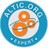ALTIC Altic, profile picture