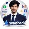 PVAISBACK.COM--Digital Marketing Self-Employed Consultant, profile picture
