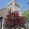 Christ Church Deer Park, Toronto, profile picture