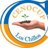 CENOCUP, profile picture