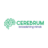 Cerebrum Infotech, profile picture