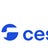 Cesce, profile picture