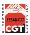 CGT FESANCAT, profile picture