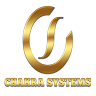 Chakra Systems, profile picture