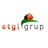 Etgi Grup, profile picture