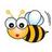CLASE DE LA ABEJA, profile picture