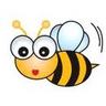 CLASE DE LA ABEJA, profile picture