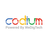 Codium Club, profile picture