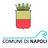 Comune di Napoli, profile picture