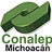 Conalepmich, profile picture