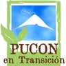 consejoambientalpucon, profile picture
