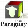 Tesis  Paraguay, profile picture