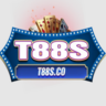 T88S CO, profile picture