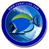 Coral-live, profile picture