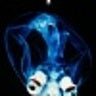 SlideShare profile picture for @correction
