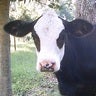 SlideShare profile picture for @countrywide