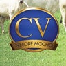 cvneloremocho, profile picture