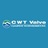 CWT Valve, profile picture